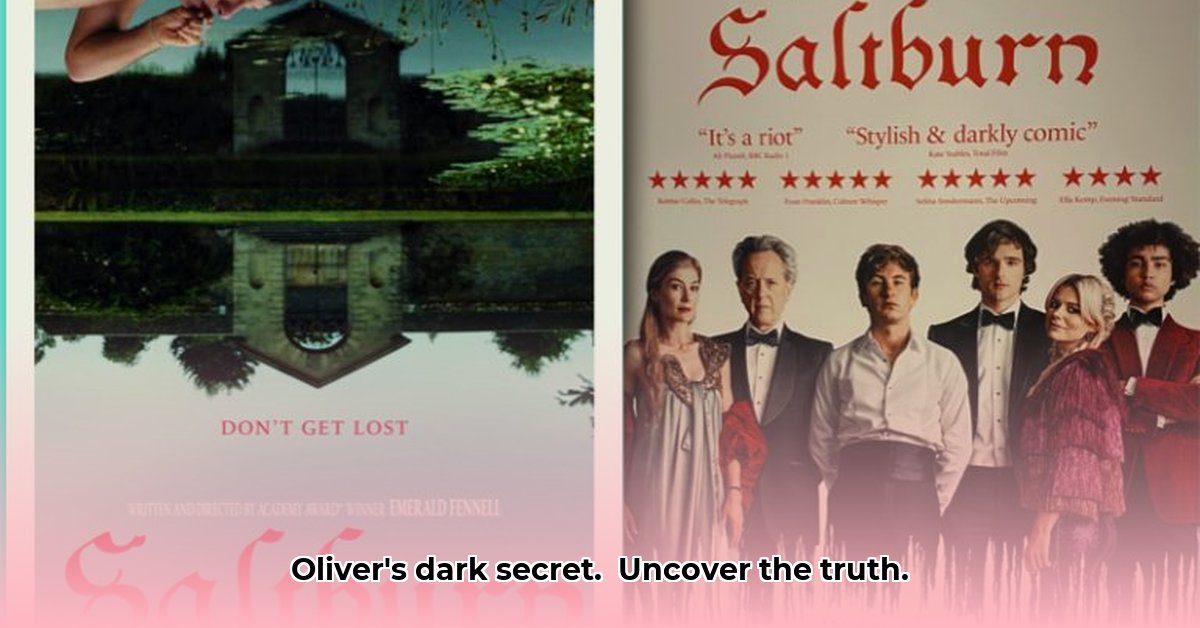 saltburn-explained